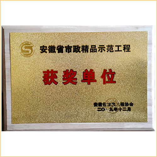 2019安徽省市政精品示范工程获奖单位 